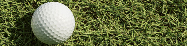 TifSport Bermudagrass