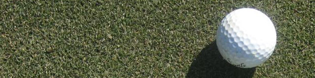 Champion Bermudagrass