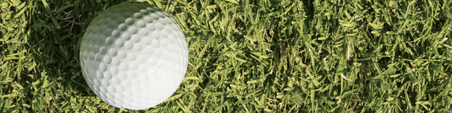 TifGrand Bermudagrass