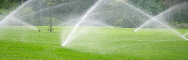 BUY157_Watering