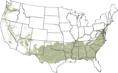 new_zone_map-patriot