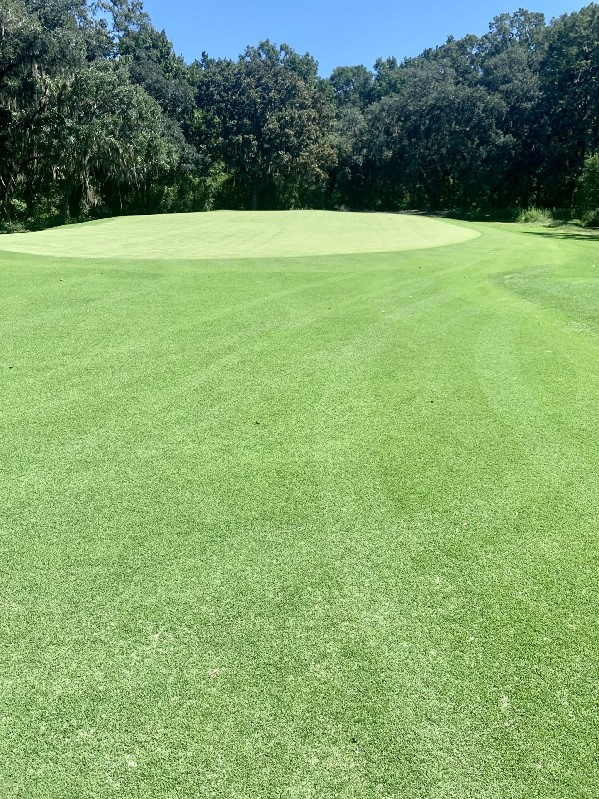 Prizm Zoysia, Cherokee Plantation BuySod